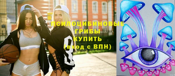 мескалин Осташков