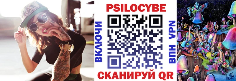 Купить  Слюдянка  Галлюциногенные грибы Psilocybe 